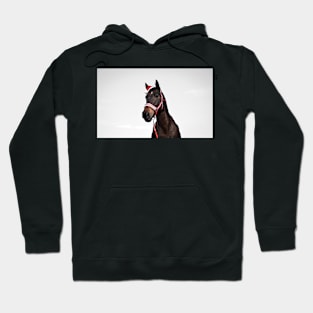 christmas horse photo Hoodie